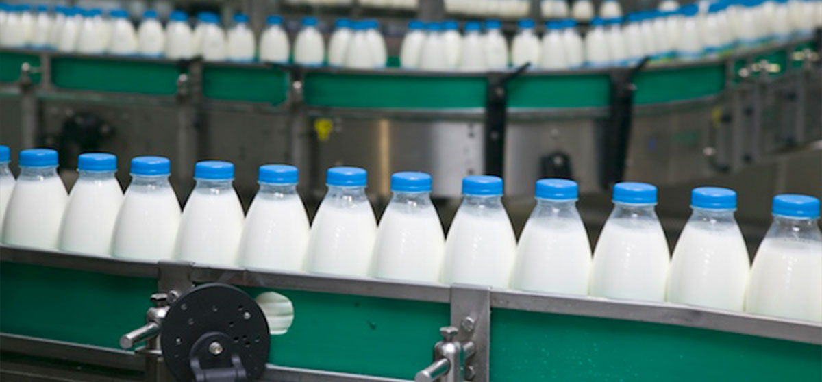 Berwako Milk Processing PLC in Jijiga Town of Ethiopia