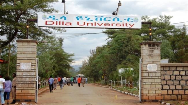 Dilla University
