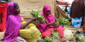 Ethiopia khat market