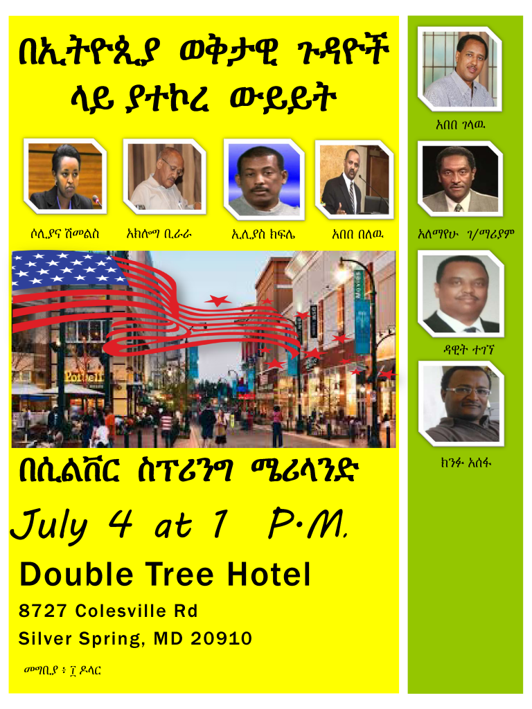 Ethiopian journalists panel discussion 4 July 2015 in Washington DC