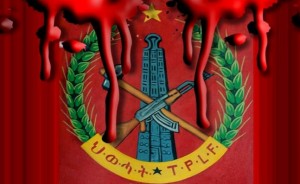 Noose around TPLF neck tightens as Amara and Oromo join forces