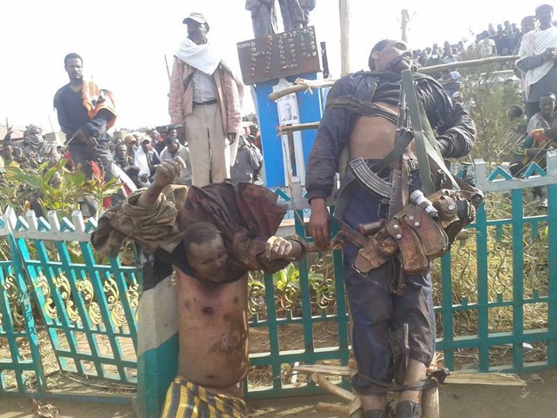 Two Ethiopians executed in Selale Awraja - 9 December 2014
