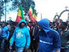 debre markos salsawi