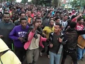 debre salsawi